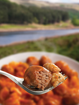 Wayfayrer RTE Camping food - Meatballs & Pasta on spork