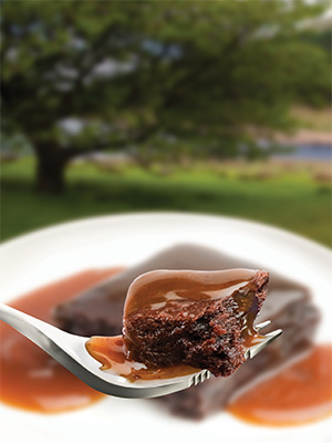 WAYFAYRER FOOD STICKY TOFFEE PUDDING TOFFEE SAUCE NEW MENU CAMPING MEAL POUCH 