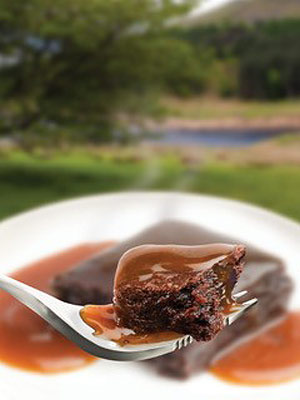 Wayfayrer RTE Camping food - Salted Caramel Chocolate Brownie